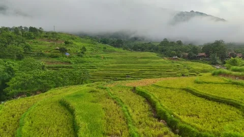 Aerial view of terraced rice fields and mountains in Pu Luong, Thanh Hoa 4K Stock Footage 313665641