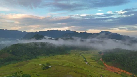 Aerial view of terraced rice fields and mountains in Pu Luong, Thanh Hoa 4K Stock Footage 313665729