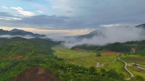Aerial view of terraced rice fields and mountains in Pu Luong, Thanh Hoa 4K Stock Footage 313665767