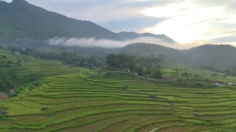Aerial view of terraced rice fields and mountains in Pu Luong, Thanh Hoa 4K Stock Footage 313665775