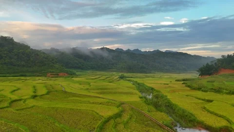 Aerial view of terraced rice fields and mountains in Pu Luong, Thanh Hoa 4K Stock Footage 313665792