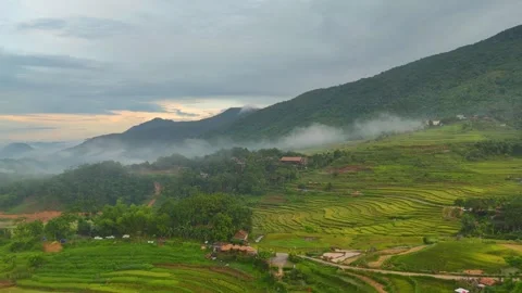Aerial view of terraced rice fields and mountains in Pu Luong, Thanh Hoa 4K 스톡 동영상 313665812