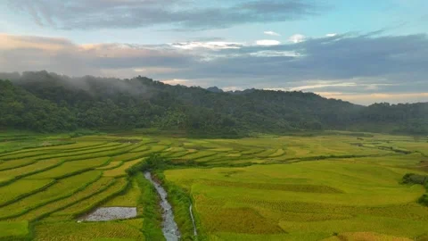 Aerial view of terraced rice fields and mountains in Pu Luong, Thanh Hoa 4K Stock Footage 313665833
