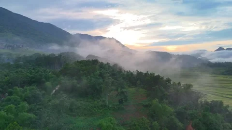 Aerial view of terraced rice fields and mountains in Pu Luong, Thanh Hoa 4K Stock Footage 313665884