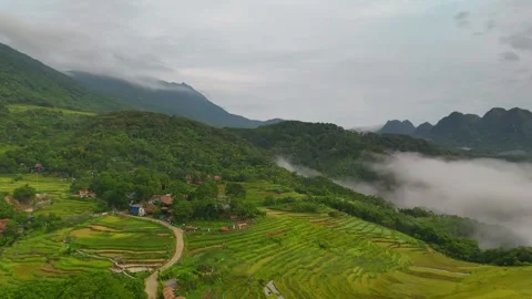 Aerial view of terraced rice fields and mountains in Pu Luong, Thanh Hoa 4K Stock Footage 313666199