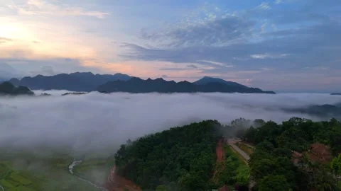 Aerial view of terraced rice fields and mountains in Pu Luong, Thanh Hoa 4K Stock Footage 313666327