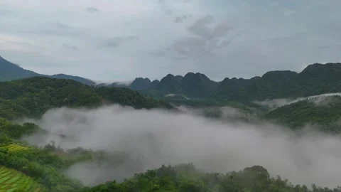 Aerial view of terraced rice fields and mountains in Pu Luong, Thanh Hoa 4K Stock Footage 313666332