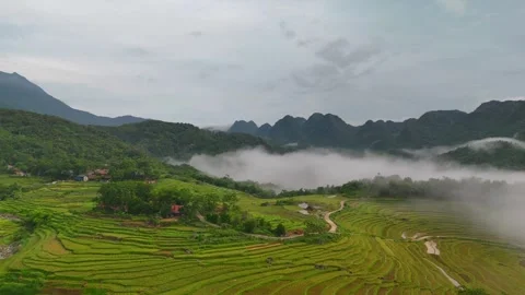 Aerial view of terraced rice fields and mountains in Pu Luong, Thanh Hoa 4K Stock Footage 313666346