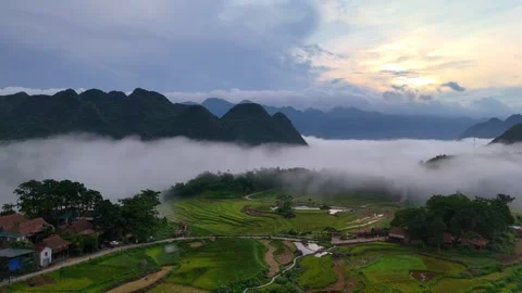 Aerial view of terraced rice fields and mountains in Pu Luong, Thanh Hoa 4K Stock Footage 313666431