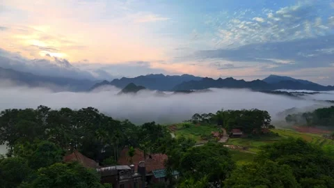 Aerial view of terraced rice fields and mountains in Pu Luong, Thanh Hoa 4K Stock Footage 313666442