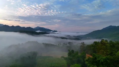 Aerial view of terraced rice fields and mountains in Pu Luong, Thanh Hoa 4K Stock Footage 313666584