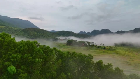Aerial view of terraced rice fields and mountains in Pu Luong, Thanh Hoa 4K Stock Footage 313666644
