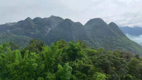 Aerial view of terraced rice fields and mountains in Pu Luong, Thanh Hoa 4K Stock Footage 313666755