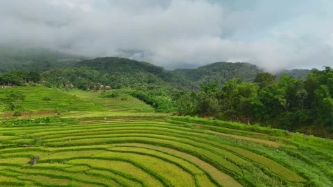 Aerial view of terraced rice fields and mountains in Pu Luong, Thanh Hoa 4K Stock Footage 313666848