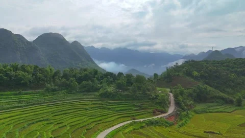 Aerial view of terraced rice fields and mountains in Pu Luong, Thanh Hoa 4K Stock Footage 313667105