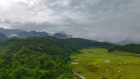 Aerial view of terraced rice fields and mountains in Pu Luong, Thanh Hoa 4K Stock Footage 313667106