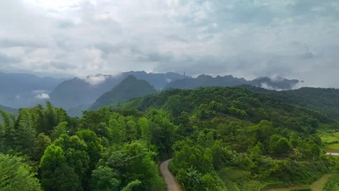 Aerial view of terraced rice fields and mountains in Pu Luong, Thanh Hoa 4K Stock Footage 313667138