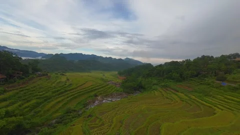 Aerial view of terraced rice fields and mountains in Pu Luong, Thanh Hoa 4K Stock Footage 313667173