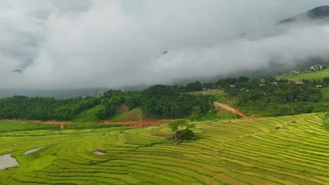 Aerial view of terraced rice fields and mountains in Pu Luong, Thanh Hoa 4K Stock Footage 313667177