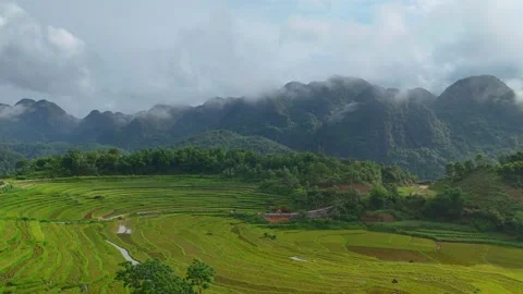 Aerial view of terraced rice fields and mountains in Pu Luong, Thanh Hoa 4K Stock Footage 313667185