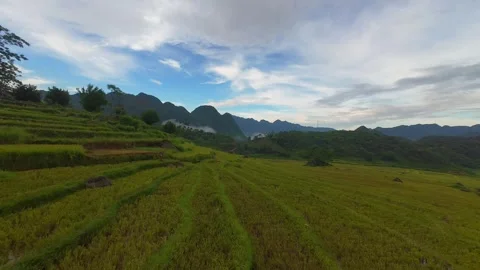 Aerial view of terraced rice fields and mountains in Pu Luong, Thanh Hoa 4K Stock Footage 313667212