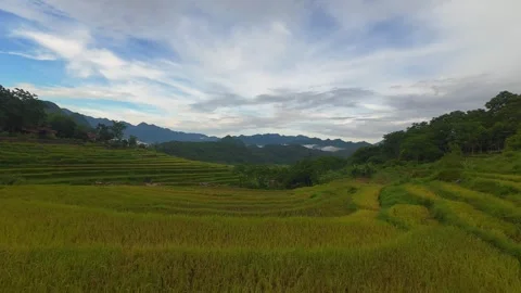 Aerial view of terraced rice fields and mountains in Pu Luong, Thanh Hoa 4K Stock Footage 313667281