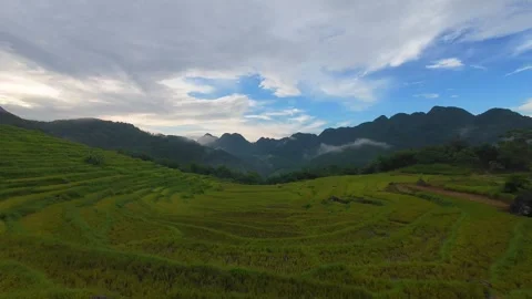 Aerial view of terraced rice fields and mountains in Pu Luong, Thanh Hoa 4K Stock Footage 313667346