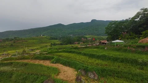 Aerial view of terraced rice fields and mountains in Pu Luong, Thanh Hoa 4K Stock Footage 313667353