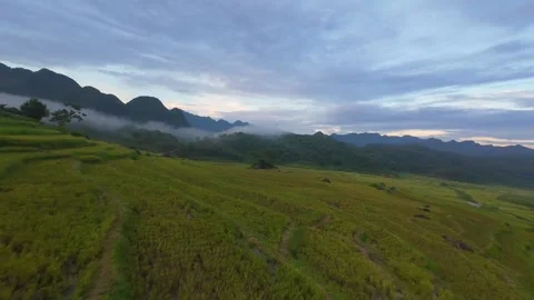 Aerial view of terraced rice fields and mountains in Pu Luong, Thanh Hoa 4K Stock Footage 313667469
