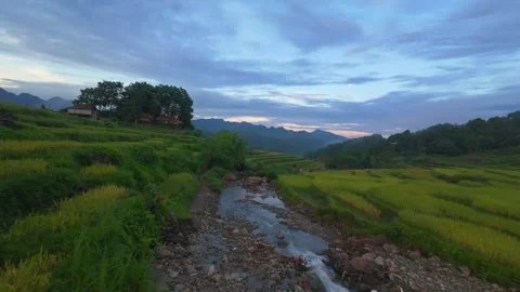 Aerial view of terraced rice fields and mountains in Pu Luong, Thanh Hoa 4K 스톡 동영상 313667481
