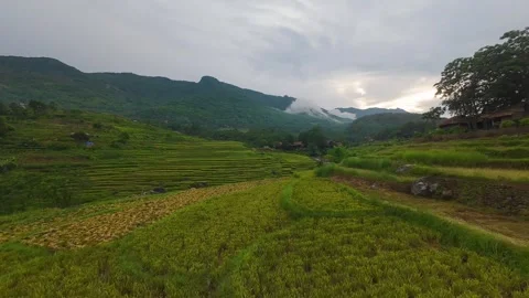 Aerial view of terraced rice fields and mountains in Pu Luong, Thanh Hoa 4K Stock Footage 313667508