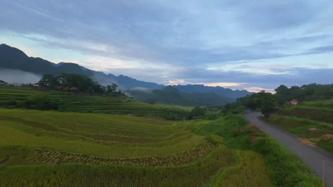 Aerial view of terraced rice fields and mountains in Pu Luong, Thanh Hoa 4K Stock Footage 313667541