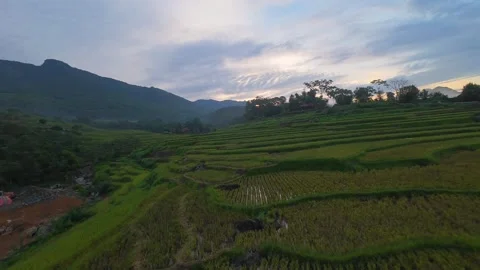 Aerial view of terraced rice fields and mountains in Pu Luong, Thanh Hoa 4K Stock Footage 313667576