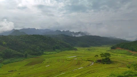 Aerial view of terraced rice fields and mountains in Pu Luong, Thanh Hoa 4K Stock Footage 313667598
