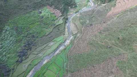 Aerial View of Terraced Rice Fields and River Valley Along Ha Giang Loop in Stock Footage 337213411
