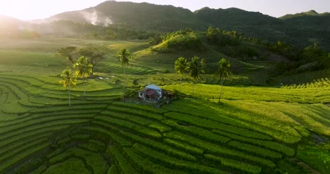 Aerial view of terraced rice fields in Sierra Bullones, Philippines. Stock Footage 339761205