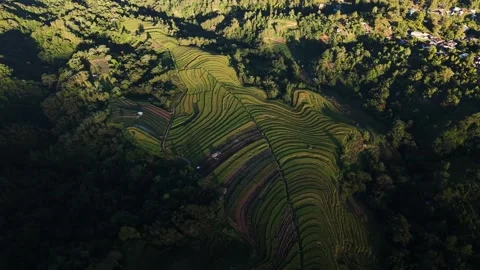 Aerial view of terraced rice fields in South Sulawesi, Indonesia. Stock Footage 341449655