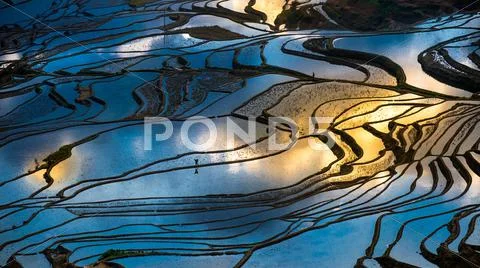 Aerial view of terraced rice fields, Yuannan, China Stock Photos