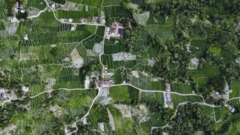 Aerial view of terraced rice fields on the slopes of Lake Toba, North Sumatra Stock Photos