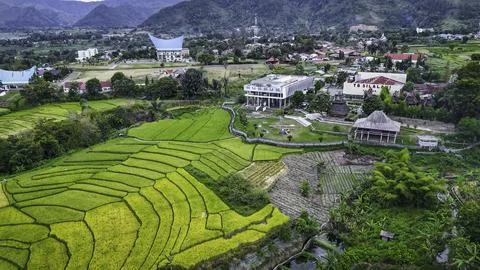 Aerial view of terraced rice fields on the slopes of Lake Toba, North Sumatra Stock Photos