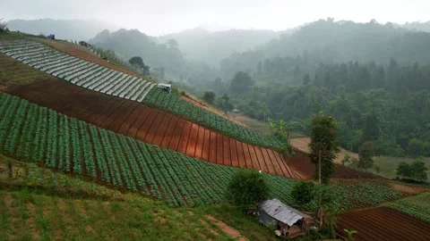 Aerial view of terraced vegetable fields in West Java, Indonesia. Stock-Footage 345607750