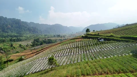 Aerial view of terraced vegetable fields in West Java, Indonesia. 스톡 동영상 345608180