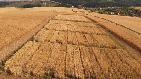 Aerial view of test field Video stock 95326432