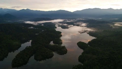 Aerial view. A texture of separation between lake and forest. Vídeos de archivo 83467906