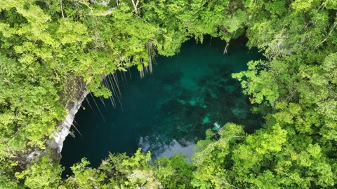 Aerial View of Thick Rainforest Surrounding Scenic Collapsed Cave in West Papua Stock Footage 245776542