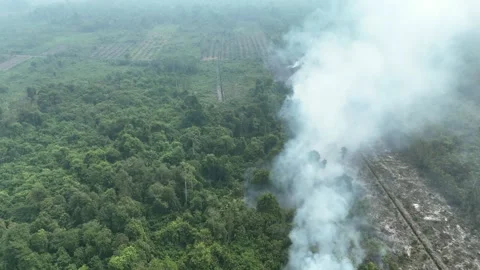 Aerial view of thick smoke rising from a forest fire in the Amazon rainforest. Stock Footage 343621999