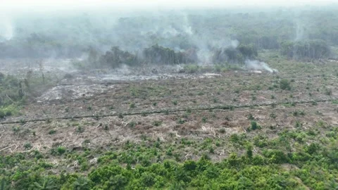 Aerial view of thick smoke rising from a forest fire in the Amazon rainforest. Stock Footage 343622022