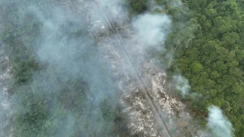 Aerial view of thick smoke rising from a forest fire in the Amazon rainforest. Stock Footage 343622101