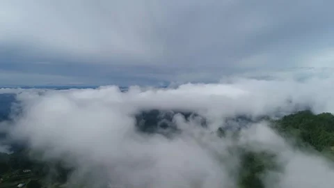 Aerial view of thick surging sea of clouds overcast layered mountain forest Video stock 337925696