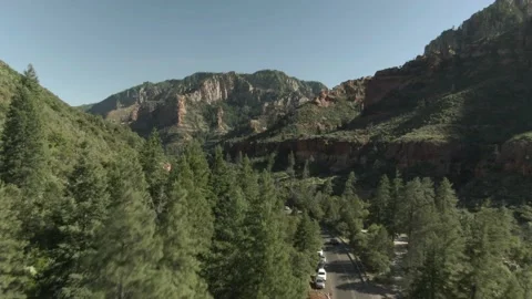 Aerial view through pine tree forest in Owl Canyon in Sedona in summer Stock Footage 211202029